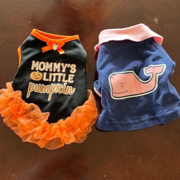 XS dog clothes - Picture 1 of 5